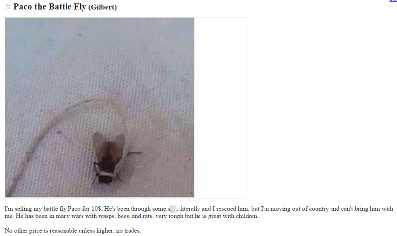 funny craigslist pranks