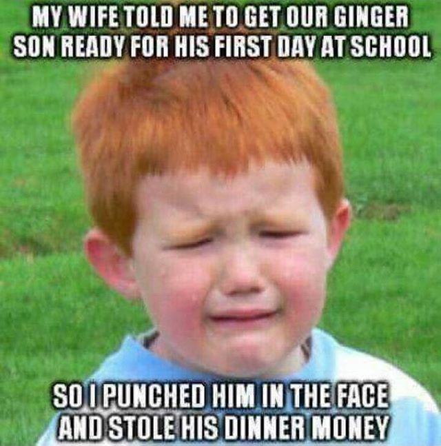 ginger memes