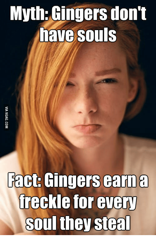 ginger memes