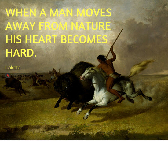 native american quotes