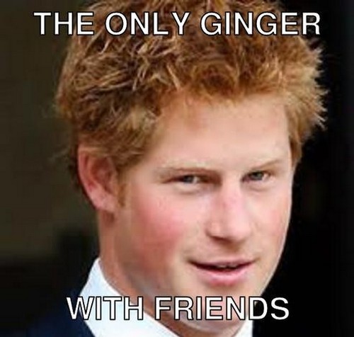 ginger memes