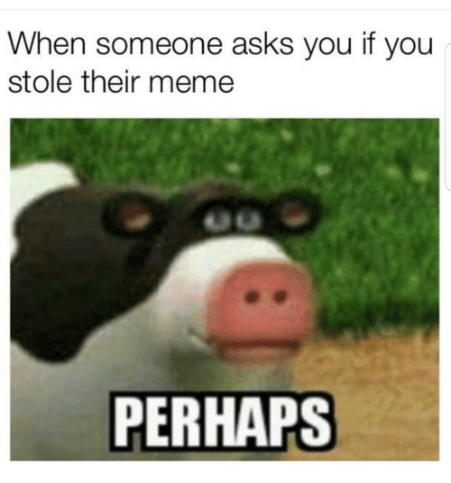 perhaps memes