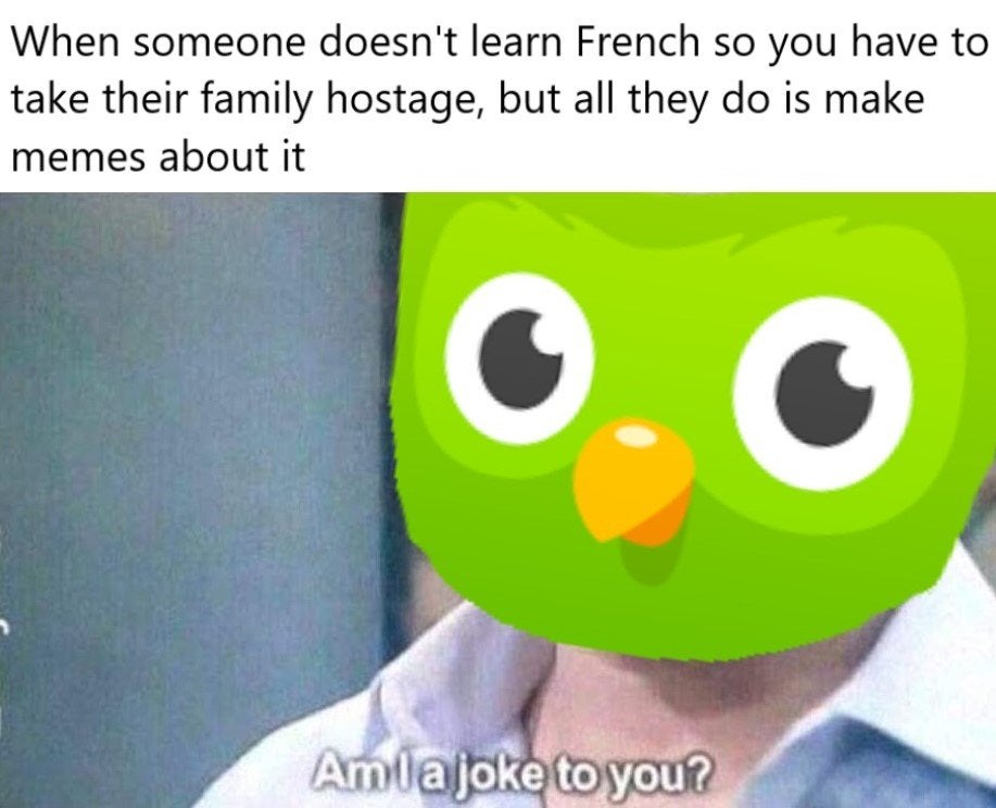 You do your normal house things and look at random duolingo memes.