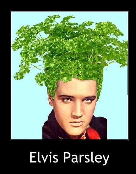 vegetable puns