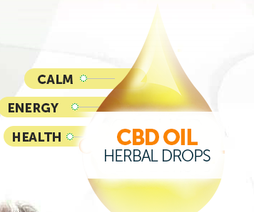 cbd craze 10 key facts that you should know