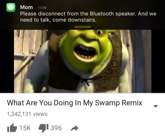 shrek memes