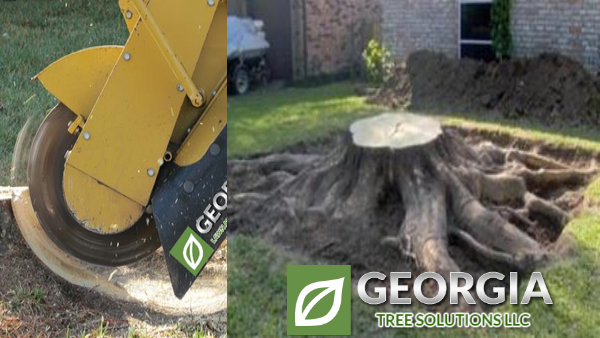 georgia tree solutions now uses a crane to remove trees in savannah ga