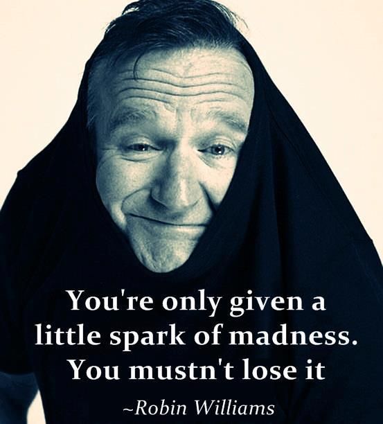 robin williams quotes