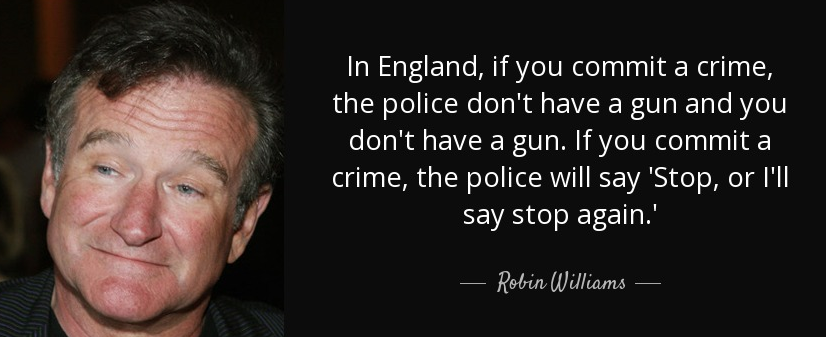 robin williams quotes