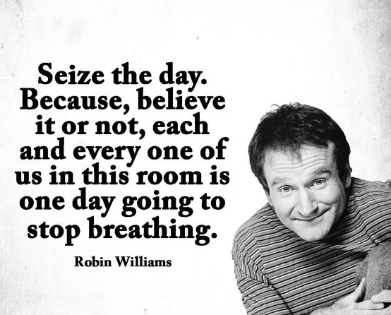 robin williams quotes