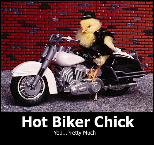 funny motorcycle memes