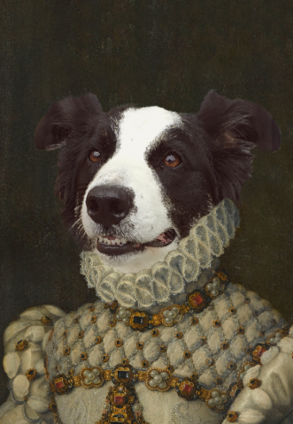 celebrate your pet with this custom historical themed portrait service