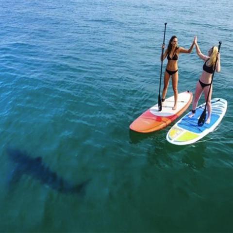 drone x pro this little drone is flying off the shelves the price will shock you