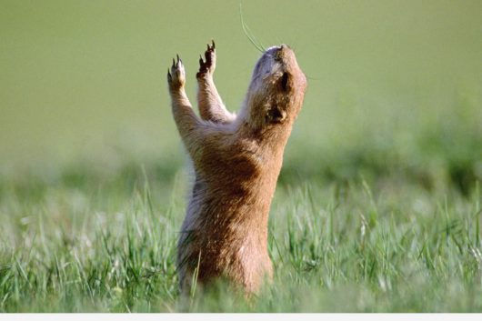 funny thoughts and prayers 1 meme