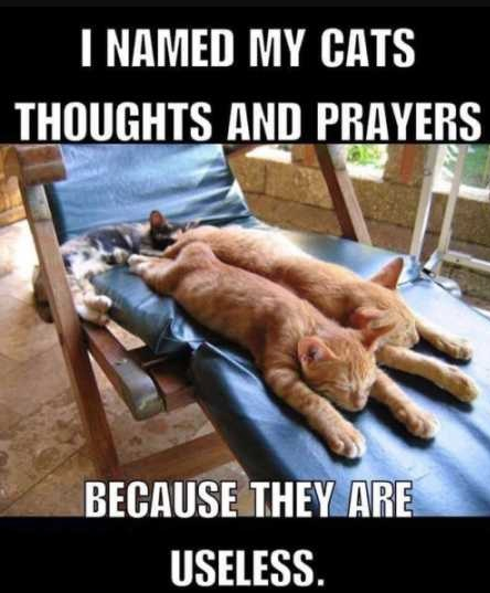 funny thoughts and prayers meme