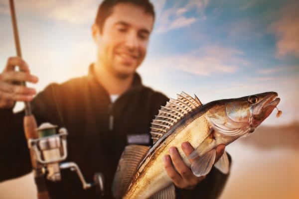 get the best fish finder resources to choose the perfect gps unit for your boat