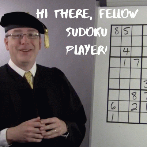get the best sudoku solving system online training program for newbies