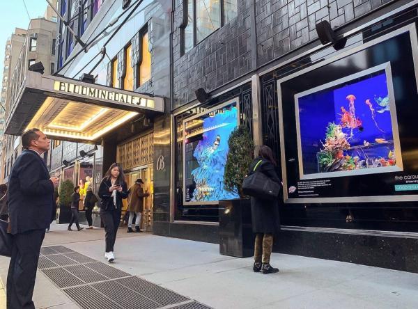 get your custom aquascape fish tank installation from okeanos group nyc