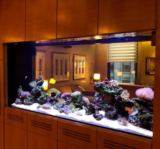 get your custom aquascape fish tank installation from okeanos group nyc