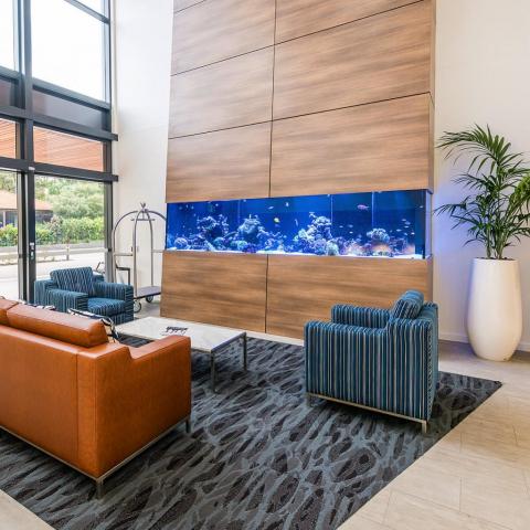 get your custom aquascape fish tank installation from okeanos group nyc