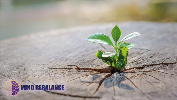 change your mindset amp change your life with the best year formula