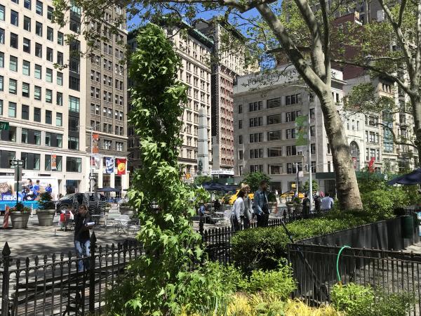 find the best office for your nyc business with tenant representation services