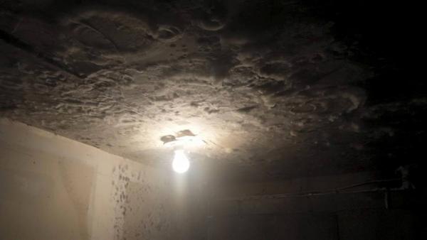 get the best mold removal expert services for homes amp businesses in new jersey