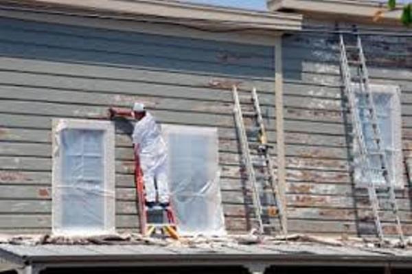 imagine a painter who cares more for you and your home than your money