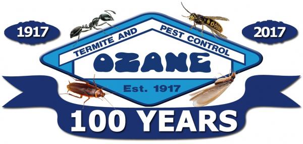 safeguard your home against fall rat infestation with ozane rodent control