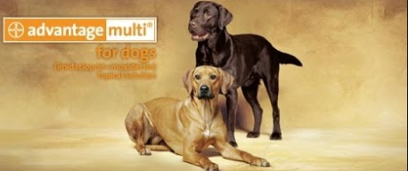 advocate 6 pack for large amp small dogs wormer amp flea treatment launched onli