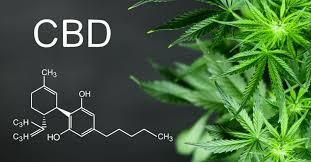 discover the health benefits of cbd for chronic pain depression amp autism