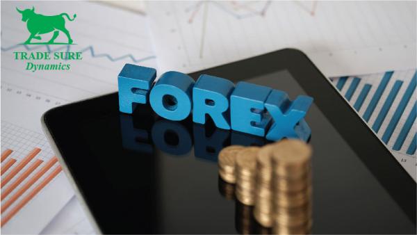 get automated mirror trading software to increase your bitcoin