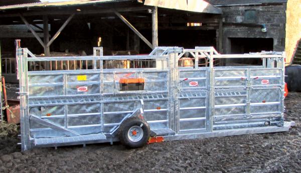 get automated weight amp size tracking for cattle with eid reader