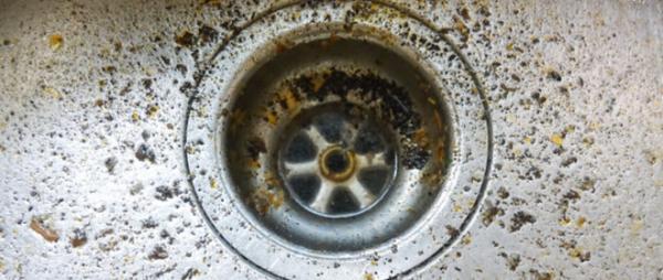 get clogged drains in kitchens and bathrooms cleaned by the experts in tempe az