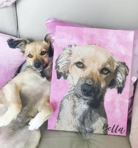 get historical themed pet portraits uk glasgow a fun way to remember your pet