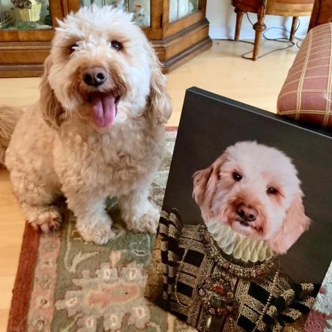 get historical themed pet portraits uk glasgow a fun way to remember your pet