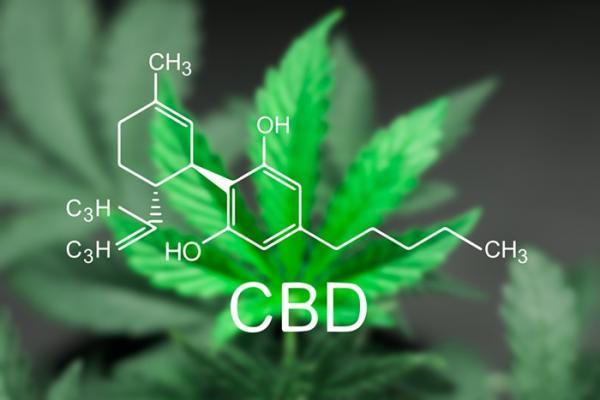 get the best cbd oil tincture natural health for headaches and pain management