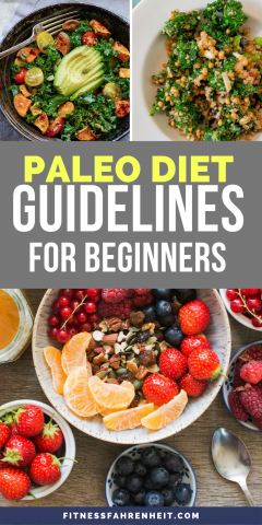 get the best paleo diet guidelines amp recipes to lose weight amp stay fit