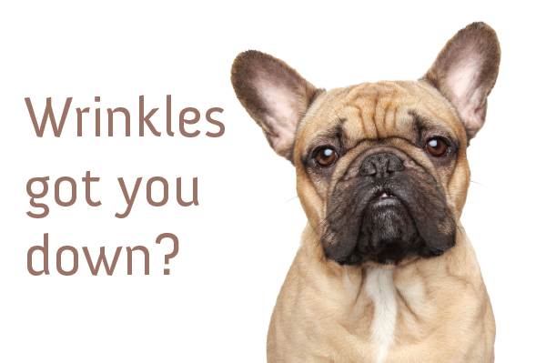 get the best sacramento anti wrinkle facials amp dermal fillers to look younger