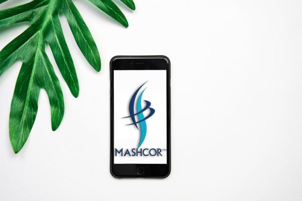 successful efforts by mashcor digital marketing agency and its failures