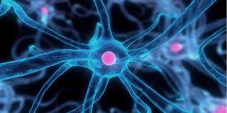 check out the benefits of regenerative medicine for healing pain here