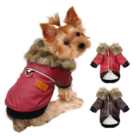 find themed cat hoodies dog clothes amp christmas clothing at petpersonalizedpro