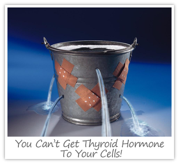 get the best research based diet to treat hypothyroidism amp stay healthy