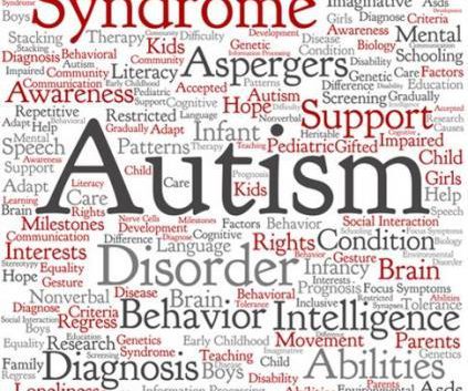 autism recovery system
