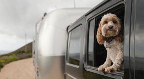 rent a rv to accommodate many people