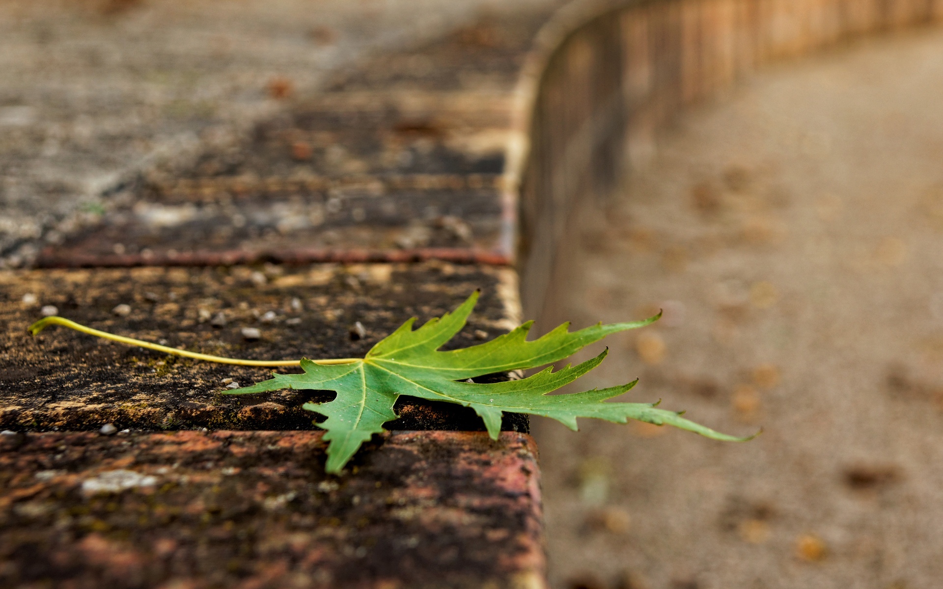 sidewalk