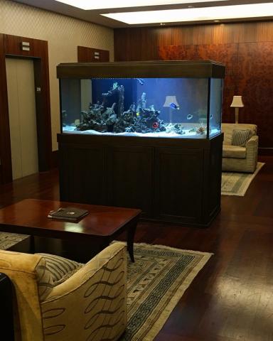 these live reef tank aquariums bring tranquility amp comfort to your home or bus