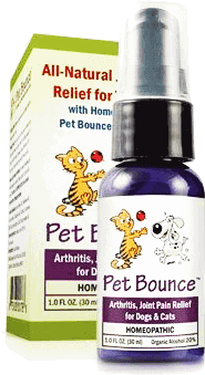 cure your pet s arthritis with the best homeopathic natural home remedy