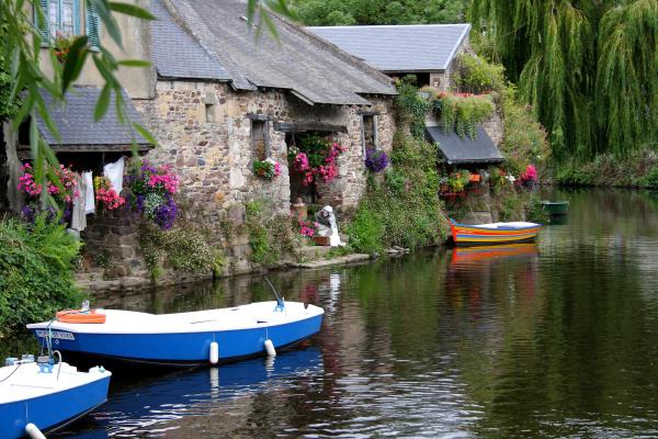design your dream life through online coaching amp self mastery