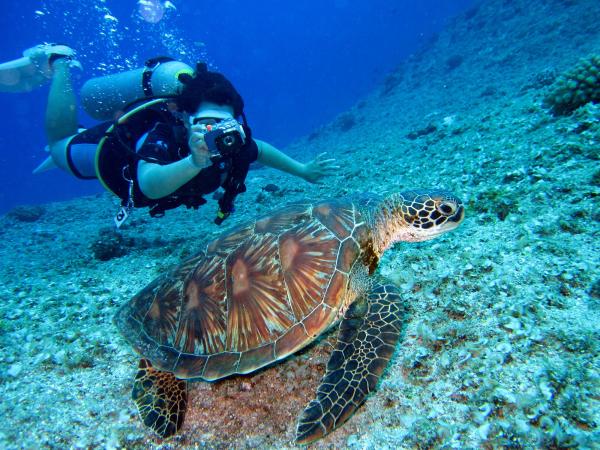 explore 2020 s top exotic dive sites on scuba diving tours from dive the world